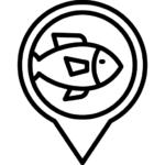 LOCATION PIN